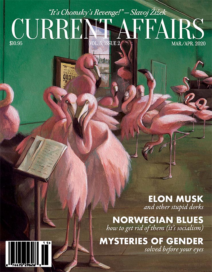 Magazine cover featuring a ballerina class of flamingoes
